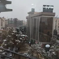 پاسداران-بر-پایدارفرد-موقعیت-اداری-99-و-115-متری