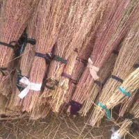 جاروی شهرداری|لوازم نظافت|یاسوج, |دیوار