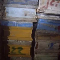 تعدادی کندو خالی بفروش میرسد