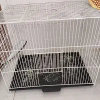 قفس پرنده