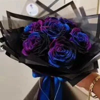 فوروش فوری یک عدد دسته گل15شاخه کهکشانی