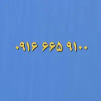 ۰۹۱۶۶۶۵۹۱۰۰
