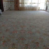 دو عدد قالی دوازده متری