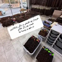 اولین مرکز معتبر سنندج