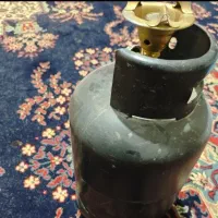 پیک نیک دوقلو