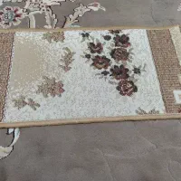 12عددروپله ای