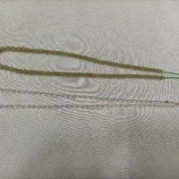 تسبیح شاه مقصود.