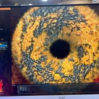 کارت گرافیک  +RX 6700XT NITRO  برای کیس گیمینگ|قطعات و لوازم جانبی رایانه|تهران, شهرک پاسداران|دیوار