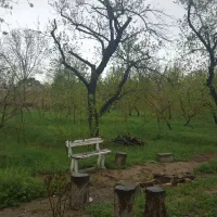 مشارکت سرمایه گذاری پر سود ملک ۱۱هزار متر ملارد