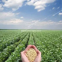 زمین-کشاورزی-برای-فروش