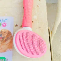 باکس سگ و گربه با وسایل|لوازم جانبی حیوانات|بهبهان, |دیوار