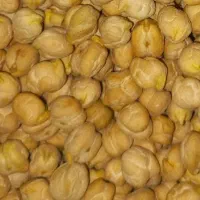 نخود سفید دیم کوهی ارگانیک بدون کود به شرط پخت