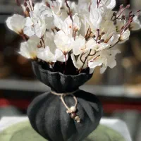 فروشگاه انواع اکسسوری منزل