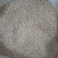 برنج فجر سوزنی
