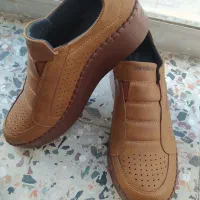 کفش نو|کیف، کفش، کمربند|سنندج, |دیوار