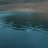 پیمانکاری اجاره بیل مکانیکی