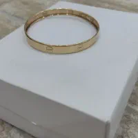یک عدد النگو کارتیر ۱۰۰ بالای تابلو