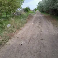 6 من محلی زمین کشاورزی واقع در روستای گوروان|فروش دفتر صنعتی، کشاورزی، تجاری|عجب شیر, |دیوار