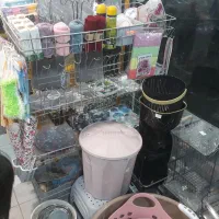 حراج پلاسکو به علت جابجایی