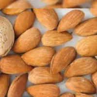 گردووتازه بادام کاملا محلی تازه و فندق تازه1تبریز