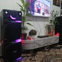 اسپیکر دو قلو|سیستم صوتی خانگی|ریگان, |دیوار