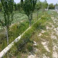 فروش-باغچه-سنددار