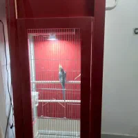 قفس|لوازم جانبی حیوانات|تربت‌حیدریه, باغ سلطانی|دیوار