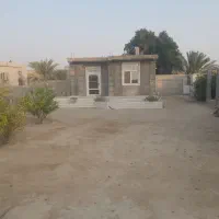 اجاره منزل دلوار محمد عامری|اجارهٔ کوتاهمدت آپارتمان و سوئیت|دلوار, |دیوار