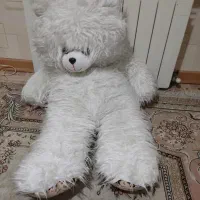 خرس سفید