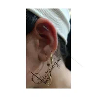 پیرسینگ هستی|خدمات آرایشگری و زیبایی|شیراز, عادل آباد|دیوار