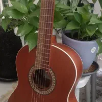 گیتار پارسیp40نو نو