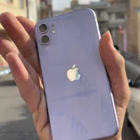 Apple11