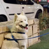 راهنمایی و مشورت