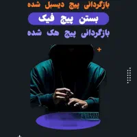 بازگردانی پیج دیسیبل شده/هک شده|خدمات رایانه‌ای و موبایل|رشت, کوی غلام نیا|دیوار