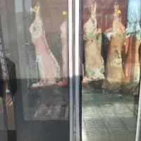 گوشت بره نرینه