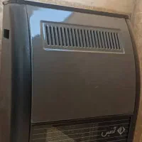 بخاری ادنیس