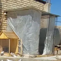 قفس جفت کن توربند کفتر