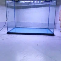 اکواریوم   آکوا Aqua شیشه خم  ۴۵×۶۰×۳۵|ماهی|تهران, یوسف‌آباد|دیوار