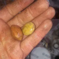 سنگهای قیمتی|جواهرات|پارس‌آباد, |دیوار