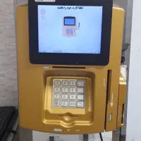 کارتخوان  پوز  NAP44 کشلس طلایی کالابرگی