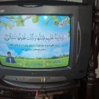 تلویزیون