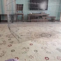 پارک سگ ۹۰ سانت ارتفاع