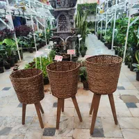 استند پایه گلدان دور حصیری سه تایی شفلرا آگلونما|گل و گیاه طبیعی|قم, نیروگاه|دیوار