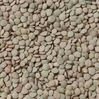بادام سنگی بادام زمینی آستانه لوبیاچیتی شکلات خرما|خوردنی و آشامیدنی|قم, باسکول|دیوار