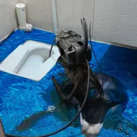 چاه بازکن،فنر زدن لوله بازکنی کل شهردرآوردن اشیا۲۴