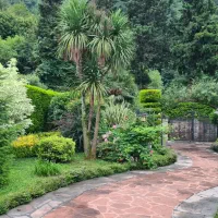 خانم جهت نظافت ویلا..|استخدام سرایداری و نظافت|رویان, |دیوار