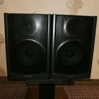 یه جفت باند سونی، سلامت دستنخورده