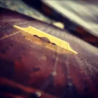 کارگاه سه تار و تنبور سرخ ون /کرج /موسیقی