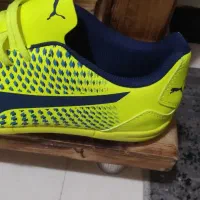 کتونی سالنی