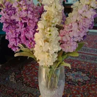 گلدان همراه گل مصنوعی شب بو